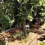 Le Bois Flotté - Maison Au Cœur De La Loire Entre Et Nature Villa