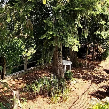 Le Bois Flotte - Maison Au Coeur De La Loire Entre Et Nature Villa