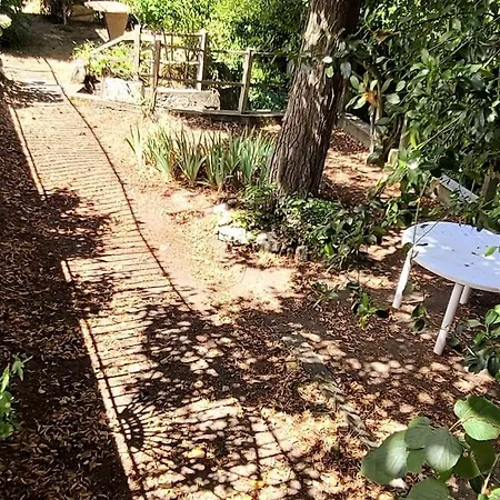 Le Bois Flotté - Maison Au Cœur De La Loire Entre Et Nature