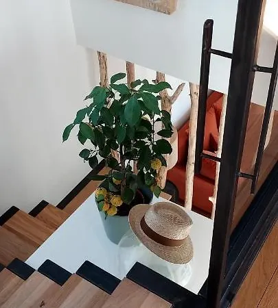 Le Bois Flotte - Maison Au Coeur De La Loire Entre Et Nature Saumur